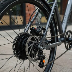  "A 750W e-bike equipped with high-performance hydraulic disc brakes for superior stopping power." 750 watt ebike