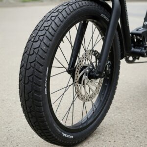 Front ebike wheel with tire and brake disc.