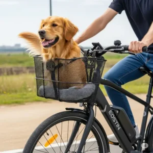 Happy golden retriever riding comfortably in a secure, wire ebike basket attached to the handlebars of an electric bike.
