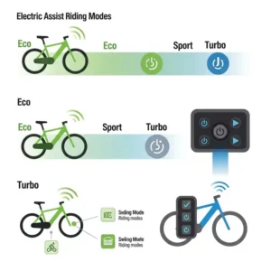 Graphic illustration displaying various electric-assist riding modes like Eco, Sport, and Turbo, indicating how users can adjust the level of electric assistance.