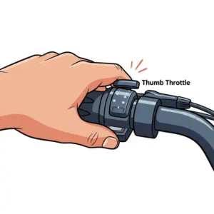 "Illustration of a rider's hand operating a thumb throttle ebike, demonstrating ease of use for power on demand."