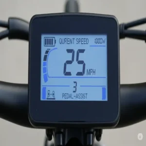 A clear view of an LCD display mounted on the handlebars, showing the speed, battery life, and pedal-assist level of an electric bicycle 1000w.
