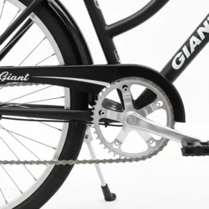 The protective chain guard on a Giant cruiser bike.
