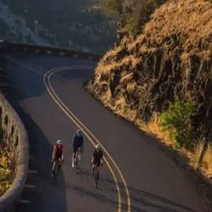  A side profile shot of the giant defy road bicycle, illustrating its relaxed endurance geometry with a taller head tube and shorter top tube for a comfortable, upright riding position.
