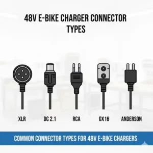 A close-up view of various connector types used by the best e bike battery chargers 48V (XLR, DC, etc.).